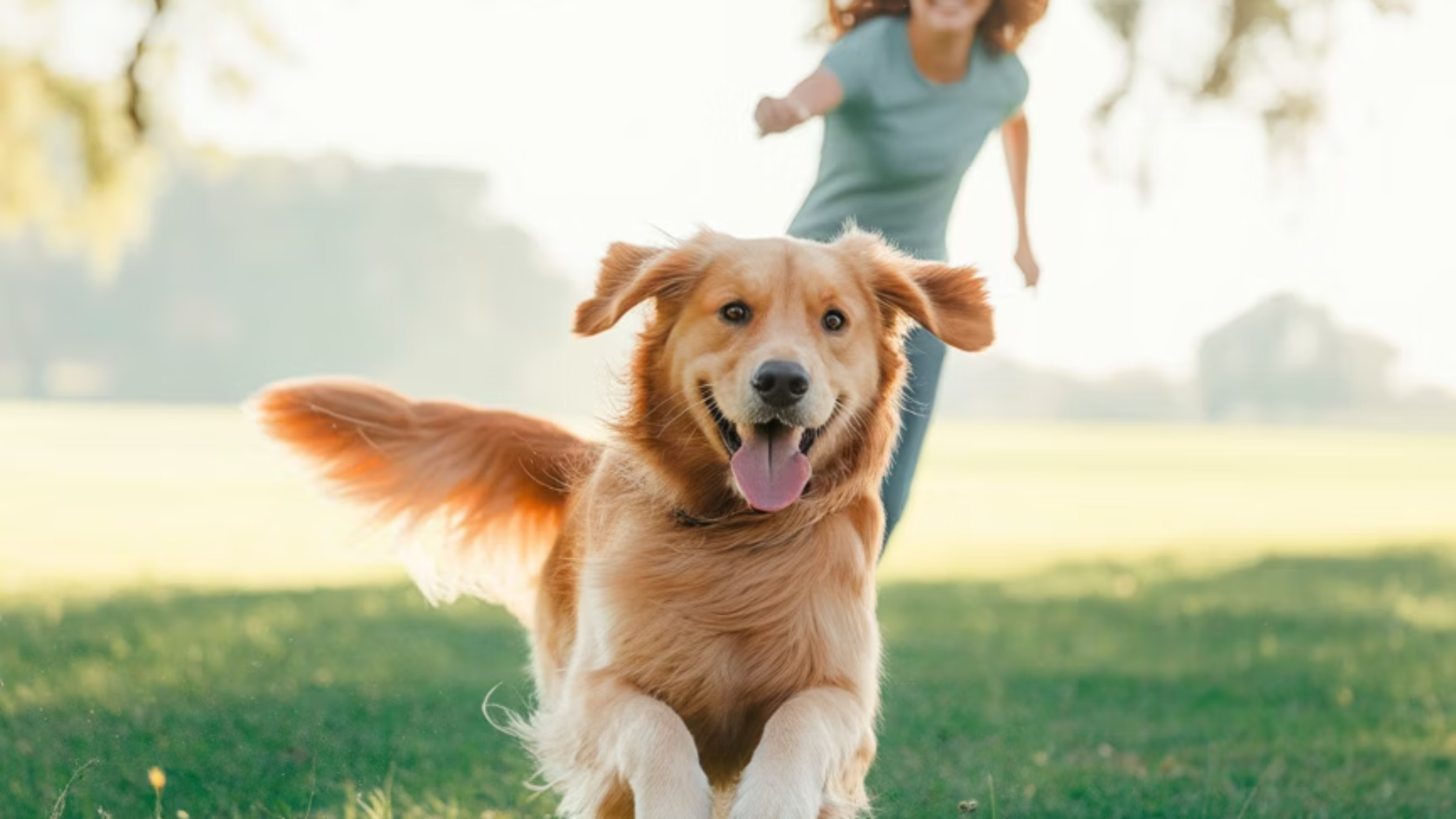 우리 아이의 웃음을 되찾아주는 방법: 보호자의 현명한 대처법