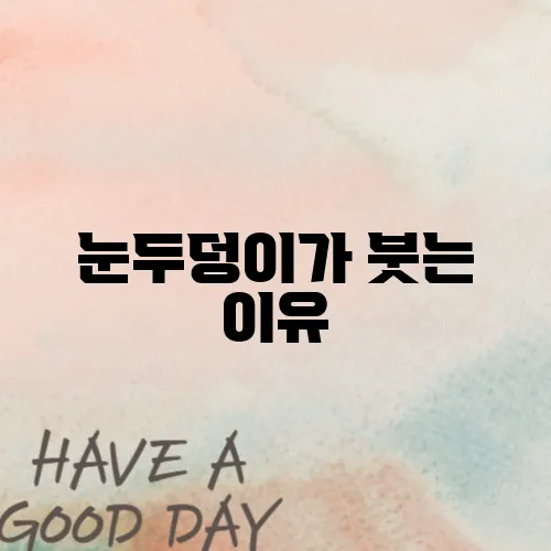 눈두덩이가 붓는 이유