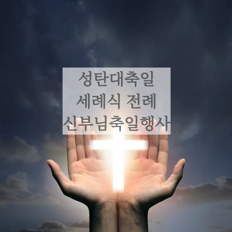 세례식전례 식순 특송 성탄대축일 신부님축일행사순서