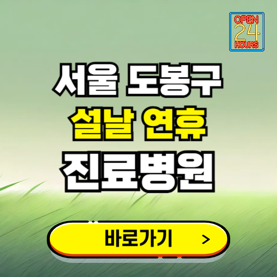 서울 도봉구 설날 연휴 진료병원 찾기 ❘ 24시 응급 야간 심야 문여는 병원