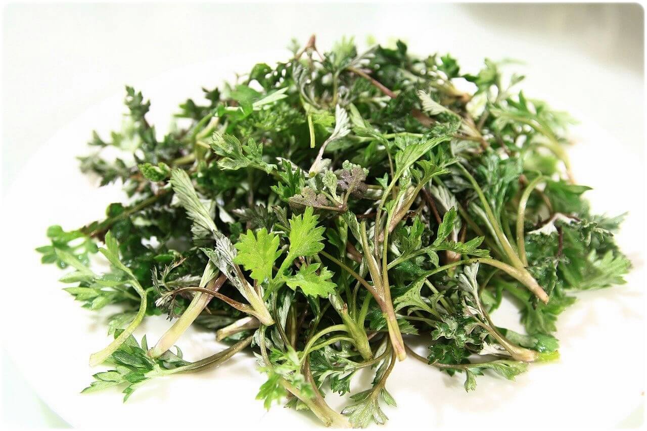 간 간암에 좋은 음식 안좋은 음식