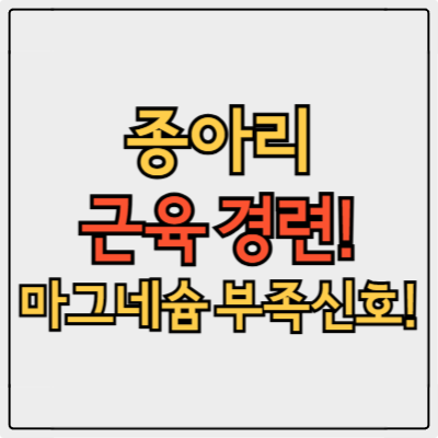 종아리 근육 경련, 마그네슘 영양제 부족 신호! 원인과 해결법