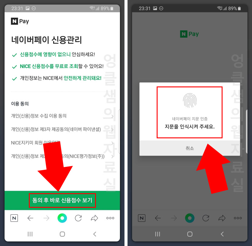 네이버페이 내 신용점수 조회