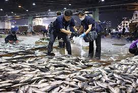 수산물 방사능 검사