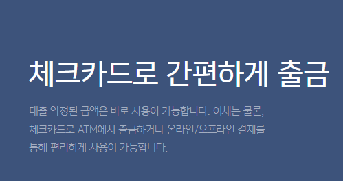소액대출 100만원