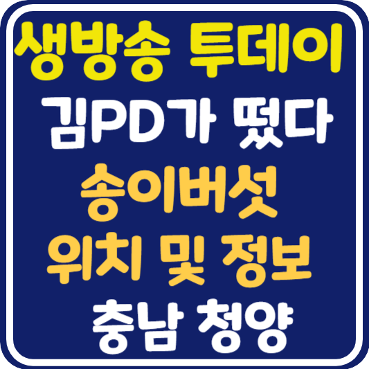 생방송 투데이 청양 송이버섯 업체 정보 안내 : 김PD가 떴다