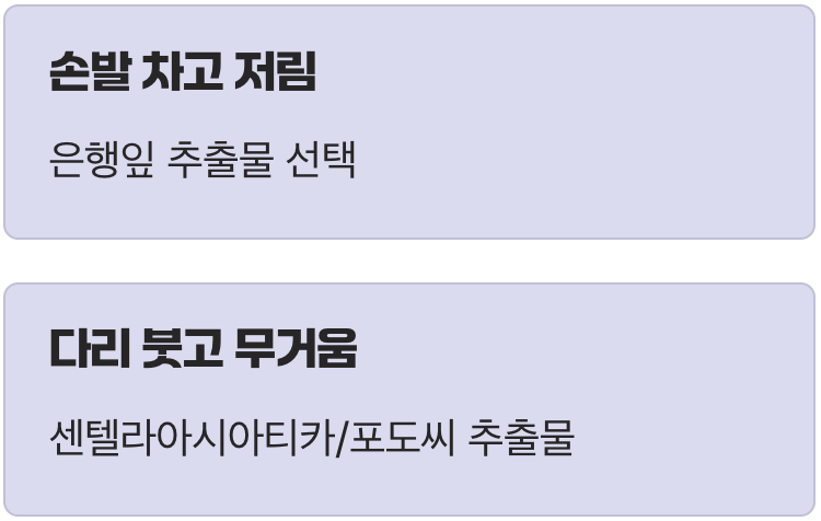 최고의 효과를 위한 현명한 선택