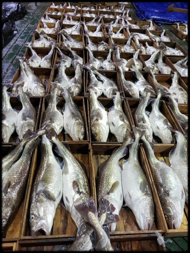 생생정보 [할매~ 밥 됩니까?] - 송주 할매의 대구밥상