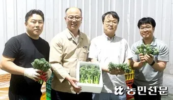 브로콜리니 재배 가지 분지 키우기 연속 수확 물 관리_3