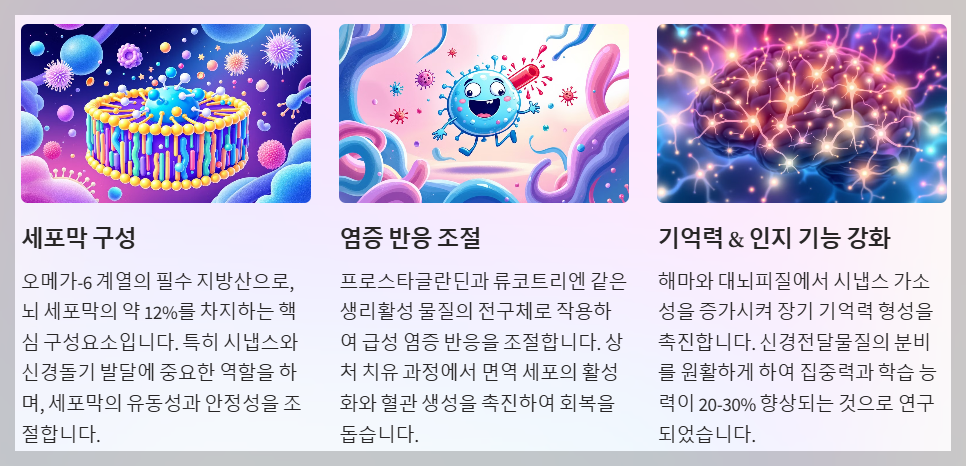 아라키돈산 이란?