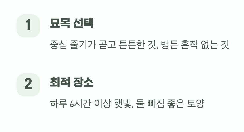 첫 단추&amp;#44; 건강한 묘목과 장소 선택