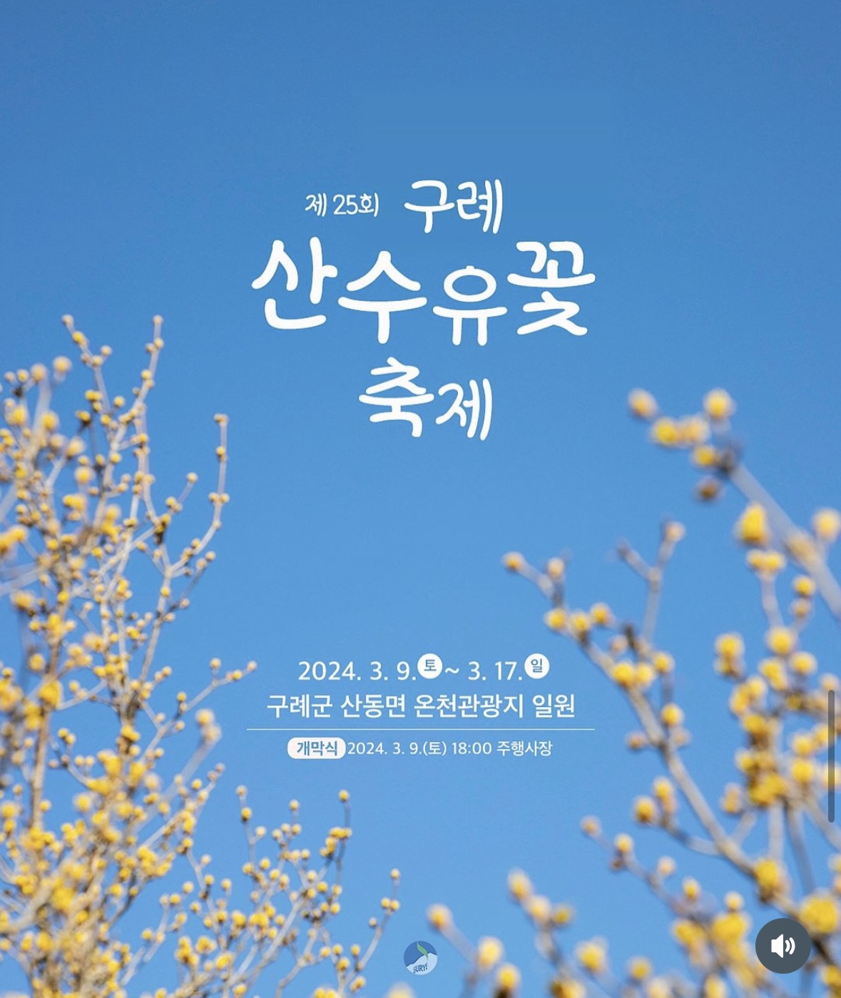 구례 산수유축제
