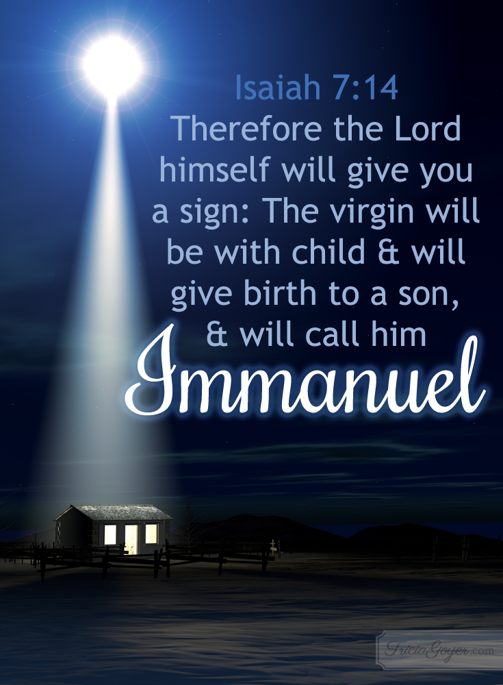 이사야 7상 14절