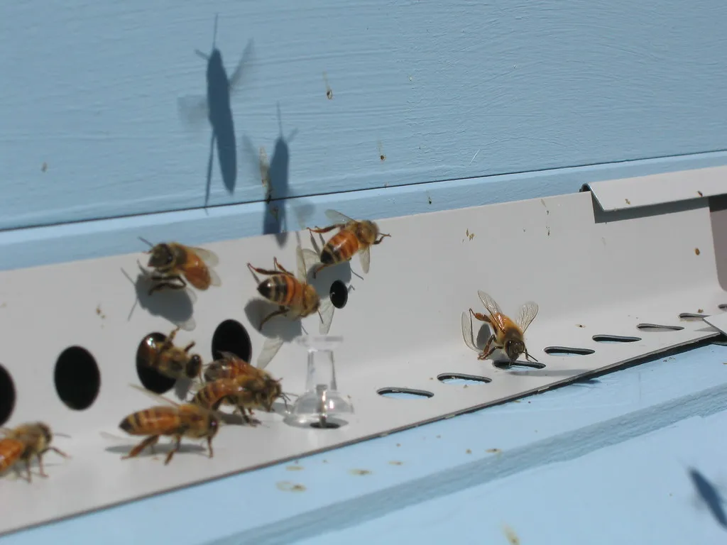 K8 하이브리드 가격 연비 장단점까지 한 눈에 종합_4