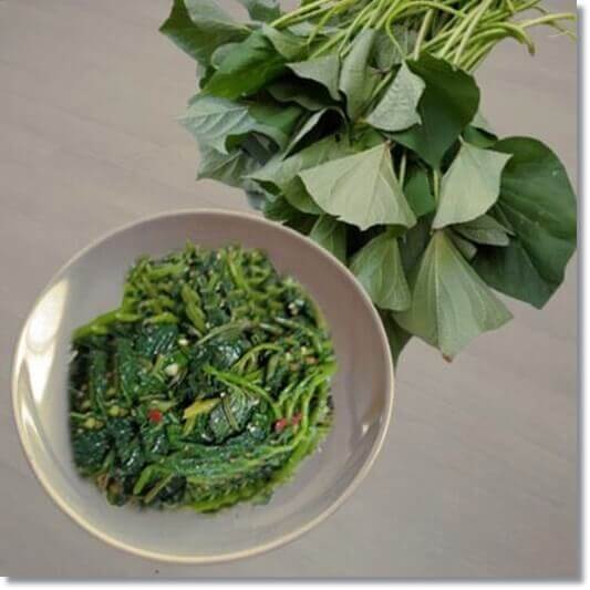 고구마 잎 효능 및 영양소 먹는 법과 주의점