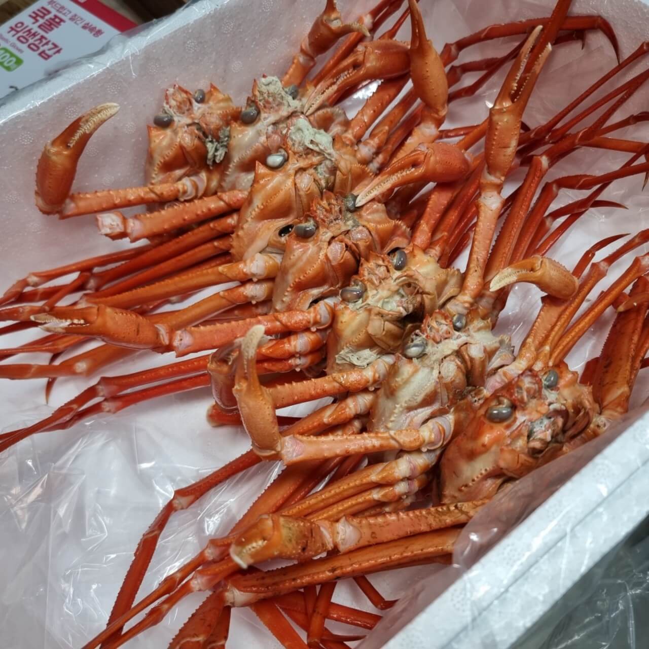 생생정보통 홍게 무한리필 포항 맛집 정보