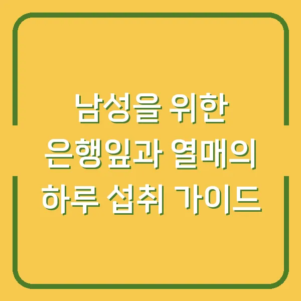남성을 위한 은행잎과 열매의 하루 섭취 가이드