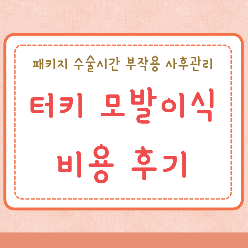 터키 모발이식 비용 후기