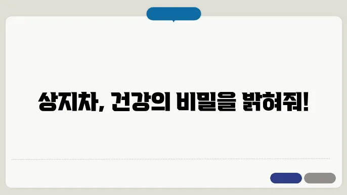 상지차 활용법
