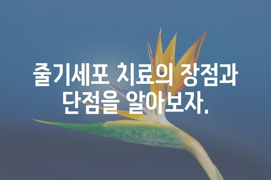 샘플 (45)