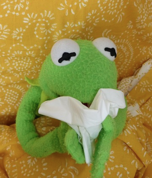 몸살 증상, 식은땀 및 근육통이 발생하는 이유(+완화방법)