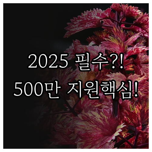 고용노동부 2025 국민내일배움카드 ..
