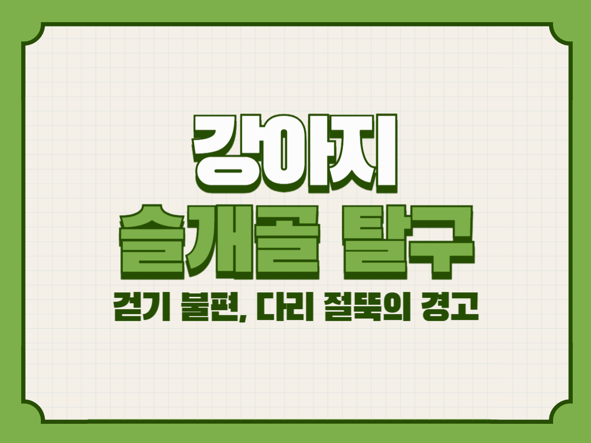 강아지 슬개골 탈구 – 걷기 불편, 다리 절뚝의 경고