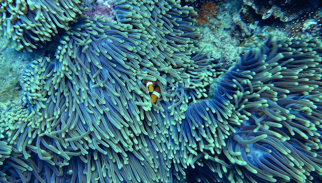 ‘느리게 성공하기’: 조용하지만 멈추지 않는 성장의 힘