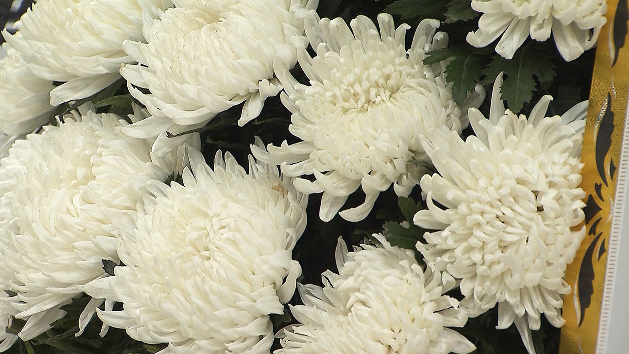 장례식장 국화 조화