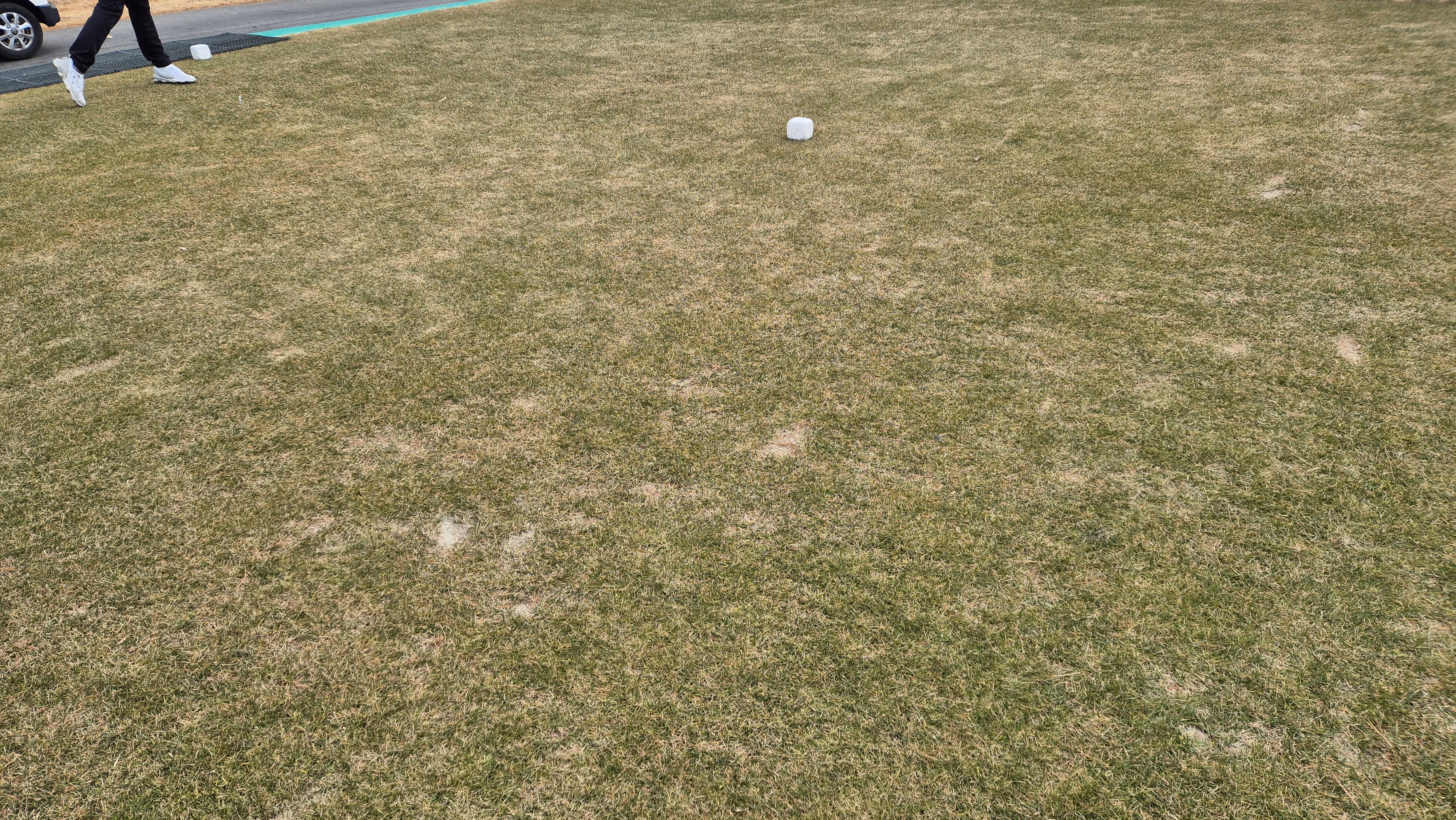 모나크cc 라운드 후기 티잉구역상태