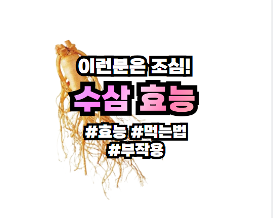 수삼 효능 부작용