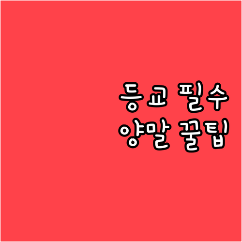 초등학교 등교용 양말 추천 브랜드와 ..