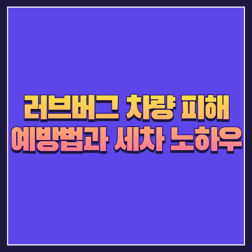 러브버그 차량 피해 예방법과 세차 노하우