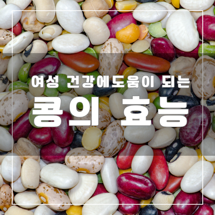 콩의 효능