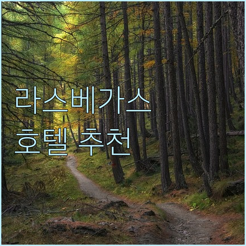 라스베이거스 호텔 추천 Top 7 위..