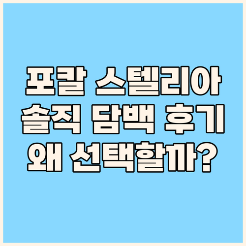 포칼 스텔리아 솔직 후기! 왜 많은 ..