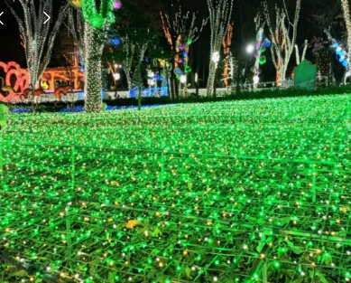 365일 빛축제 가을에 꼭 가봐야할 빛축제 BEST 5