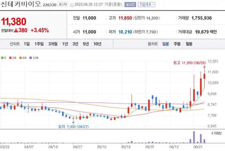 신테카바이오_226330