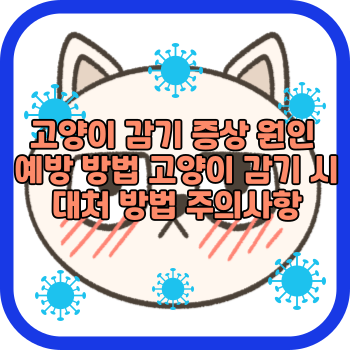고양이 감기 증상 원인 예방 방법 고양이 감기 시 대처 방법 주의사항