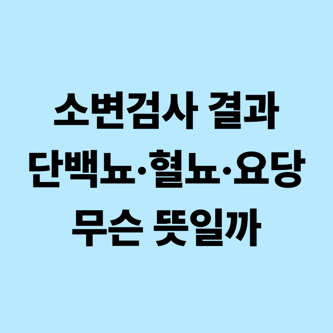 소변검사로 알 수 있는 질환 총정리｜단백뇨&middot;혈뇨&middot;요당 검사수치 쉽게 보기