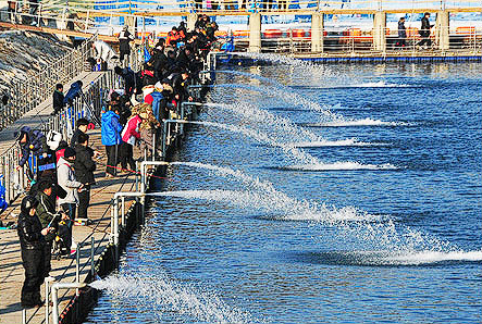 화천 산천어축제 근처 숙소 숙박시 얼음낚시 무료