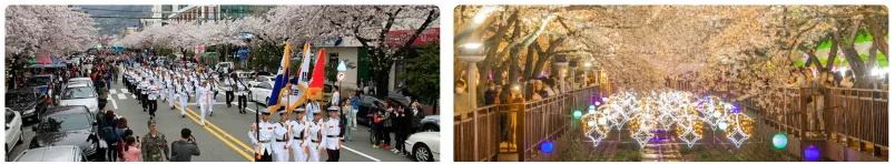 2024 진해군항제 특별행사