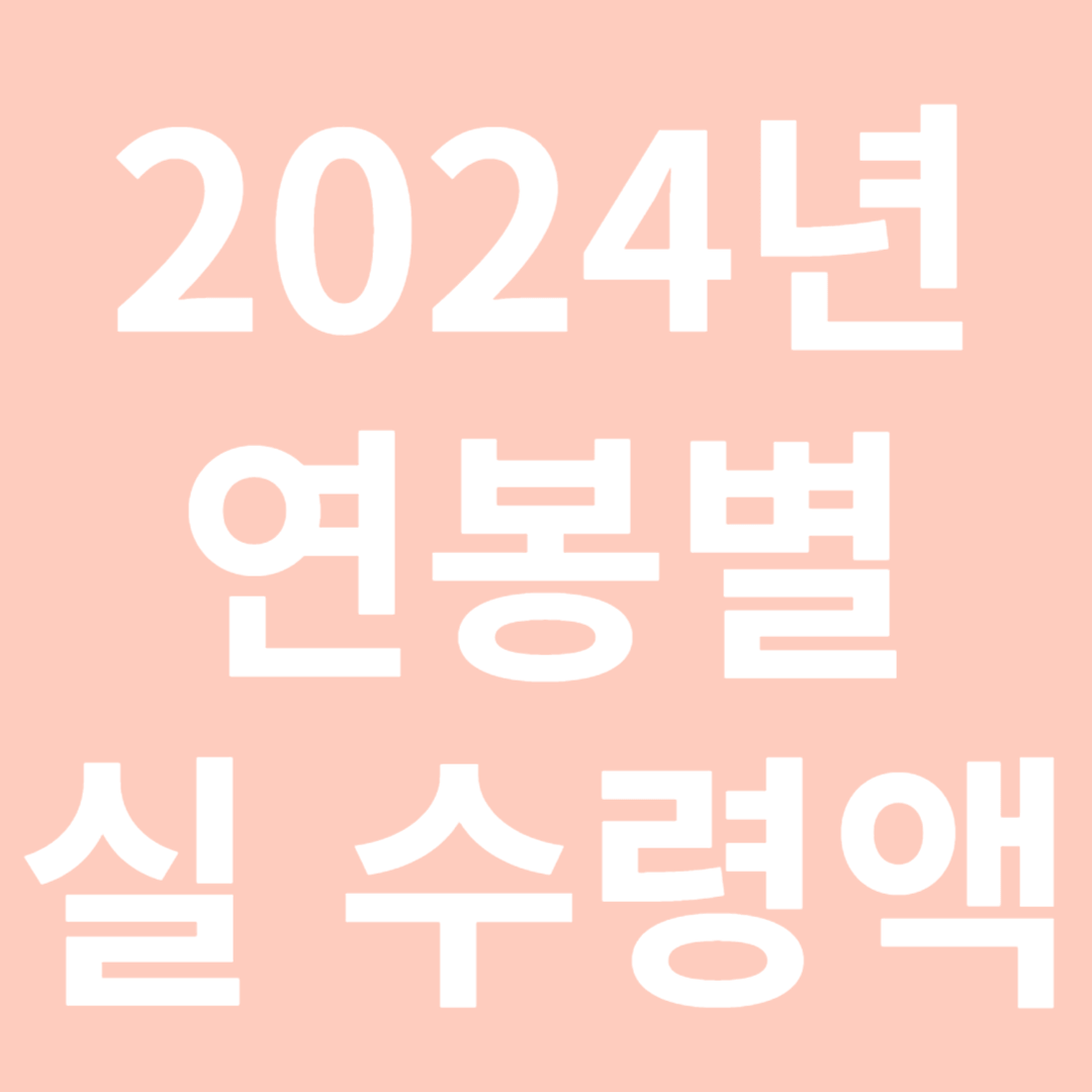 2024년 연봉별 월 실수령액
