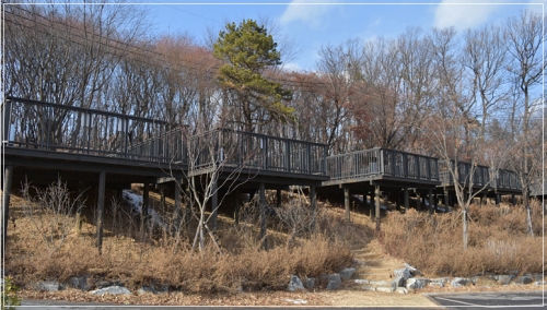 캠핑장-전경