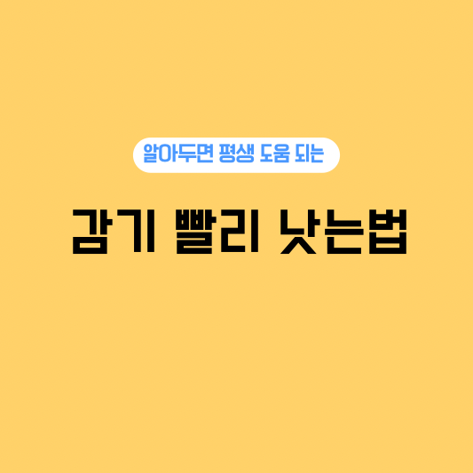 감기 빨리 낫는 법 치료 유행 원인