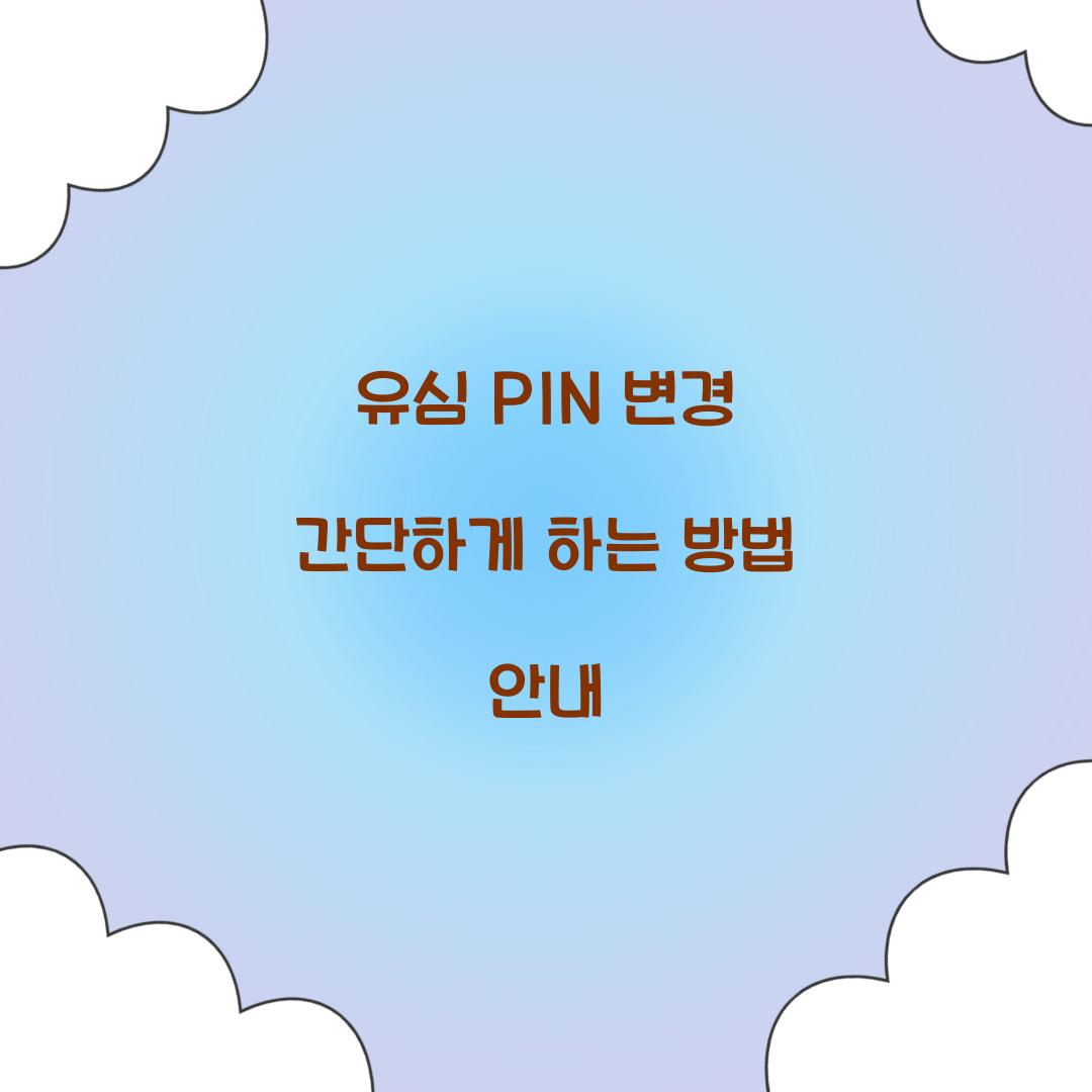 유심 PIN 변경