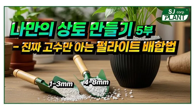 펄라이트 흙 배합 통기성향상 과습방지 실내식물 건강 업그레이드_6