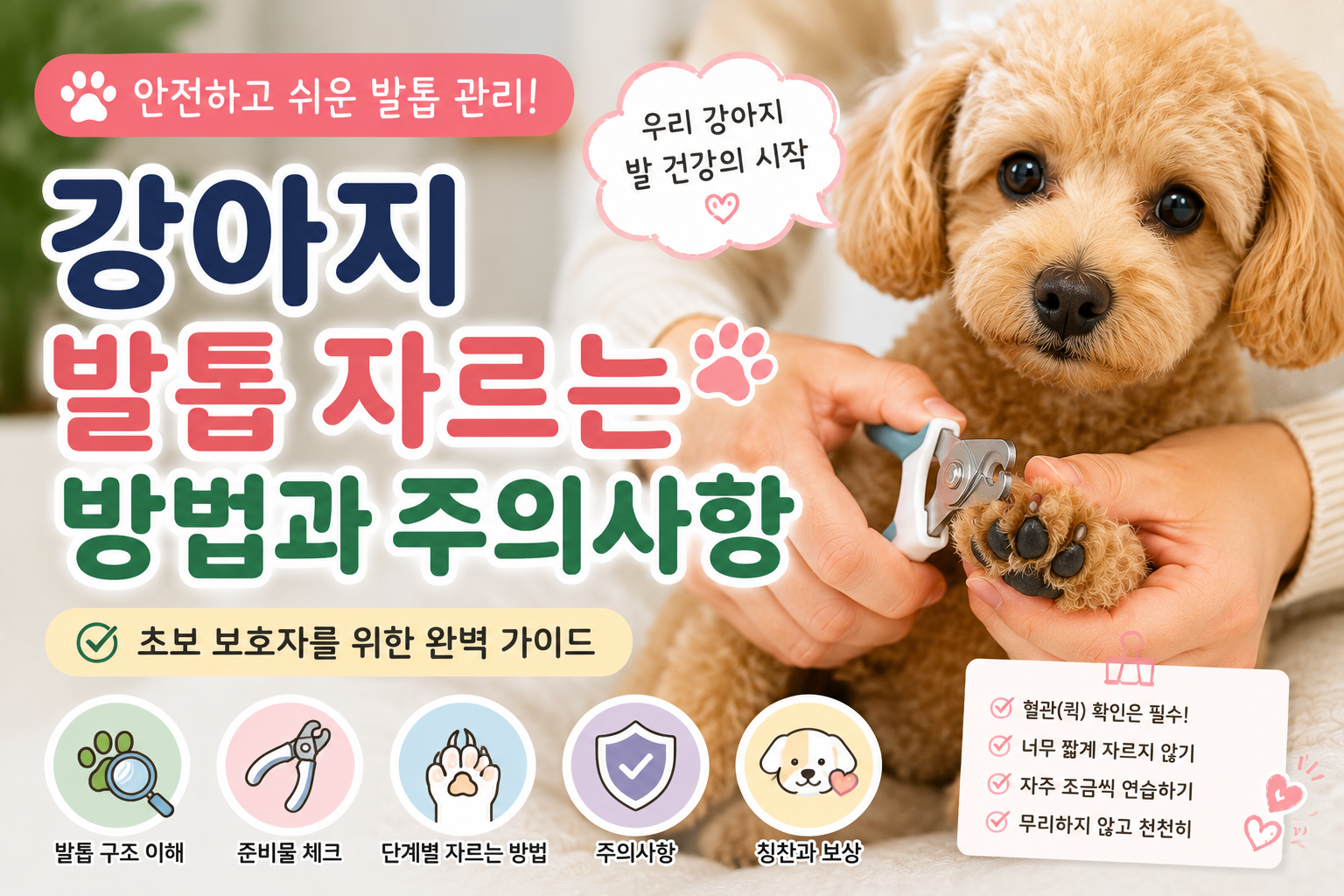 강아지 발톱 자르는 방법과 주의사항