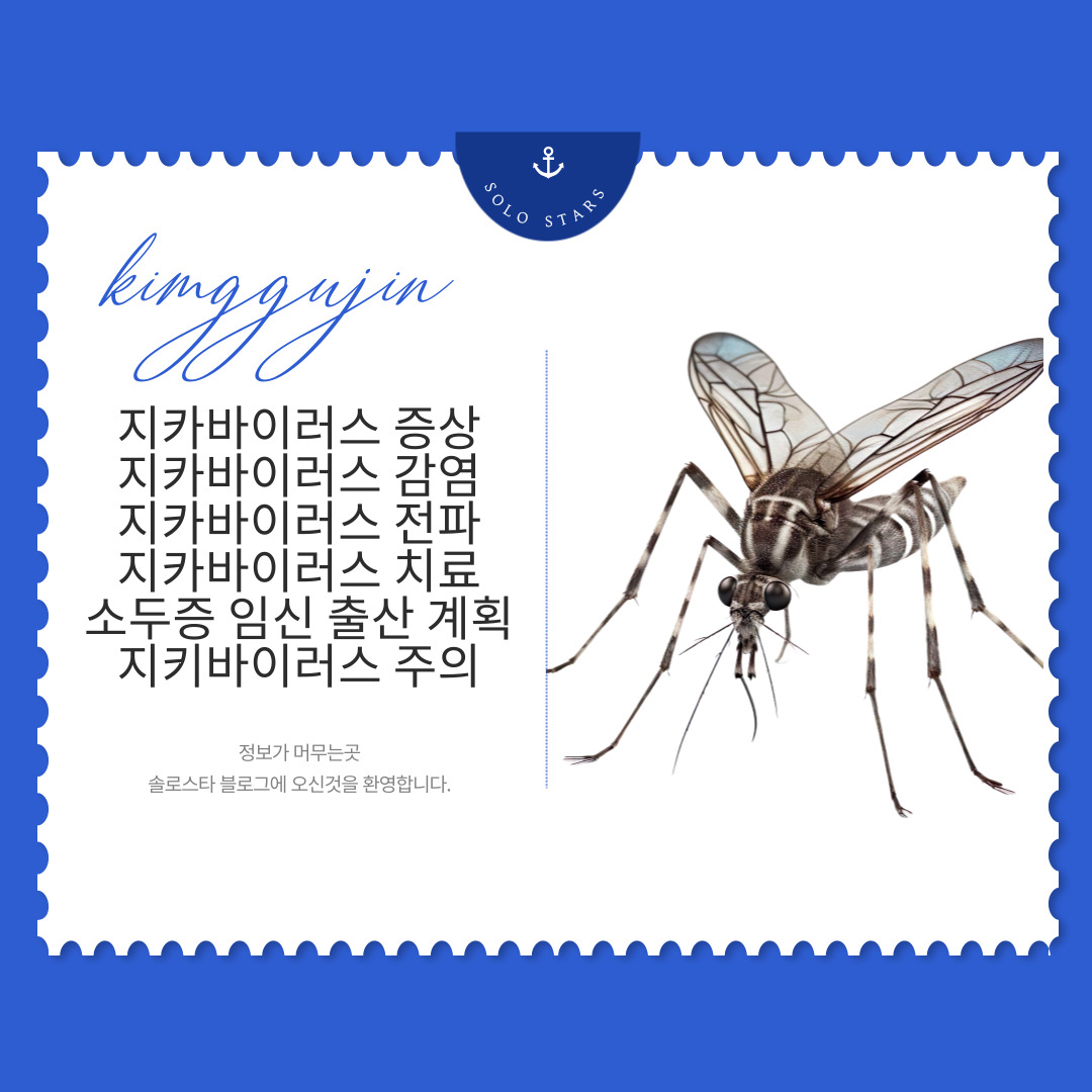 지카바이러스 매개 모기 사진