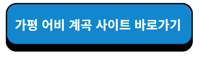 가평 어비 계곡 사이트 바로가기